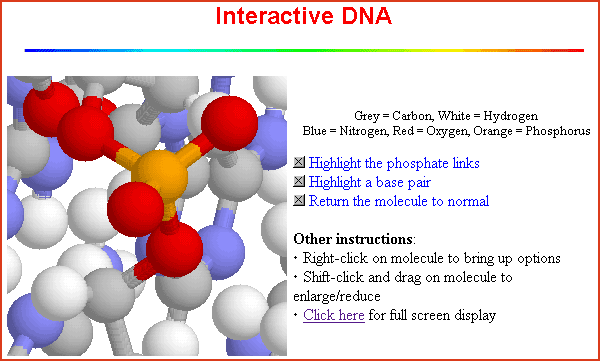 DNA molecule on interactive web page