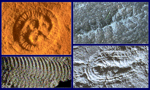 Fossils of the Vendian Period